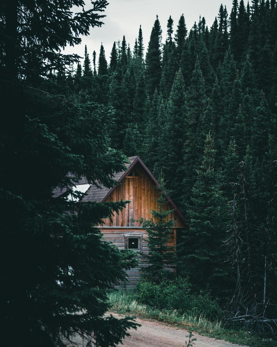 Forest Edge Retreat